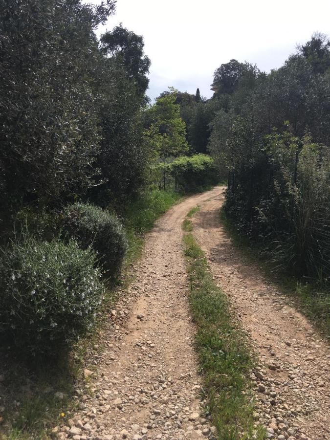 Cottage Pura Vigna Immerso Nella Natura Vicino Al Mare Porto Santo Stefano  Exteriér fotografie