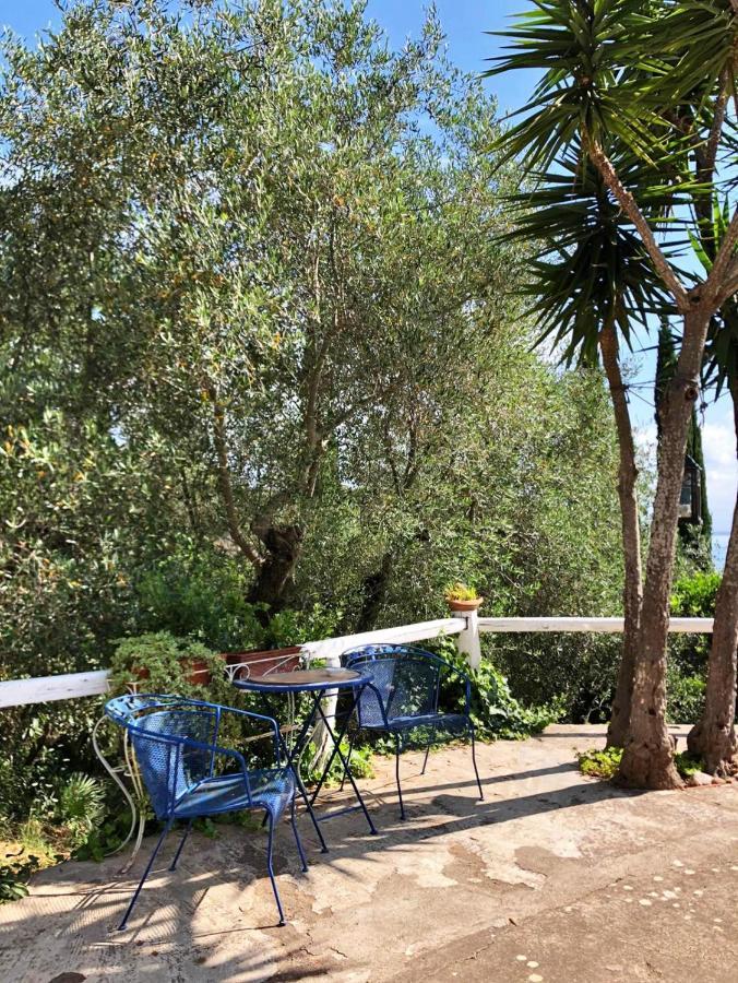 Cottage Pura Vigna Immerso Nella Natura Vicino Al Mare Porto Santo Stefano  Exteriér fotografie