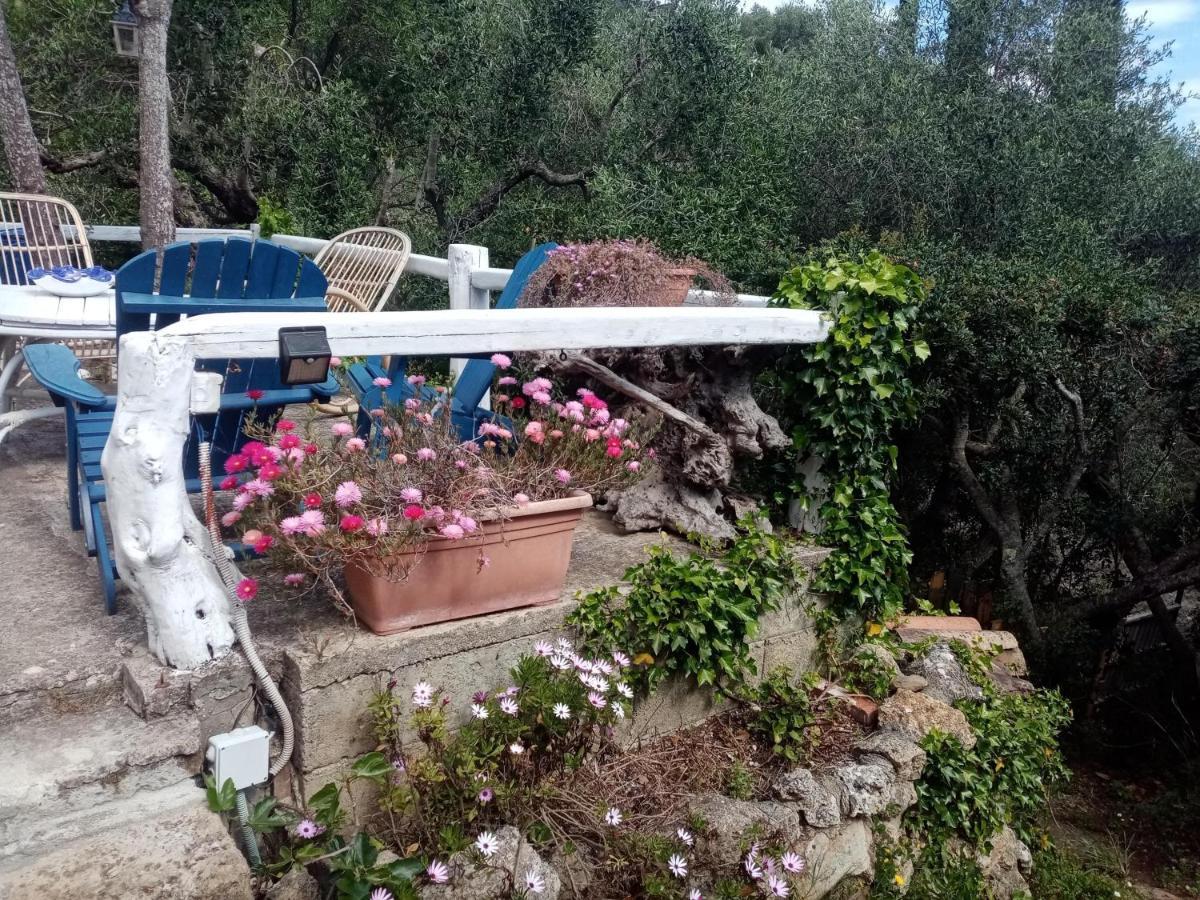 Cottage Pura Vigna Immerso Nella Natura Vicino Al Mare Porto Santo Stefano  Exteriér fotografie