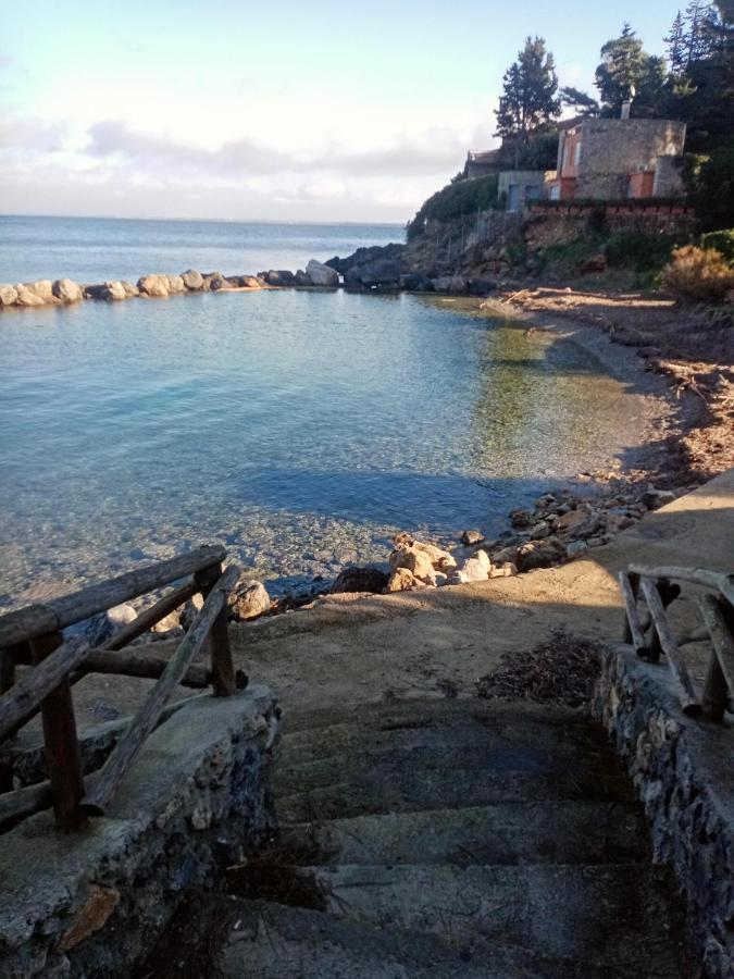 Cottage Pura Vigna Immerso Nella Natura Vicino Al Mare Porto Santo Stefano  Exteriér fotografie