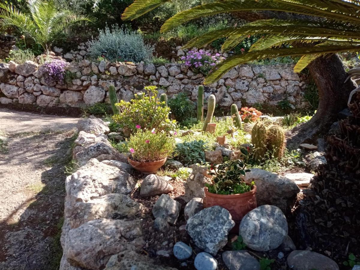 Cottage Pura Vigna Immerso Nella Natura Vicino Al Mare Porto Santo Stefano  Exteriér fotografie