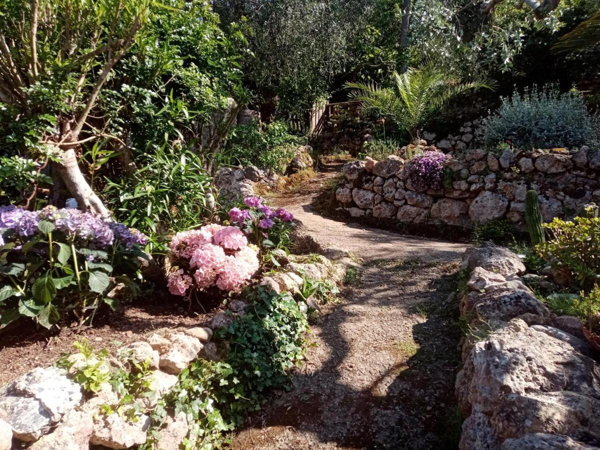 Cottage Pura Vigna Immerso Nella Natura Vicino Al Mare Porto Santo Stefano  Exteriér fotografie