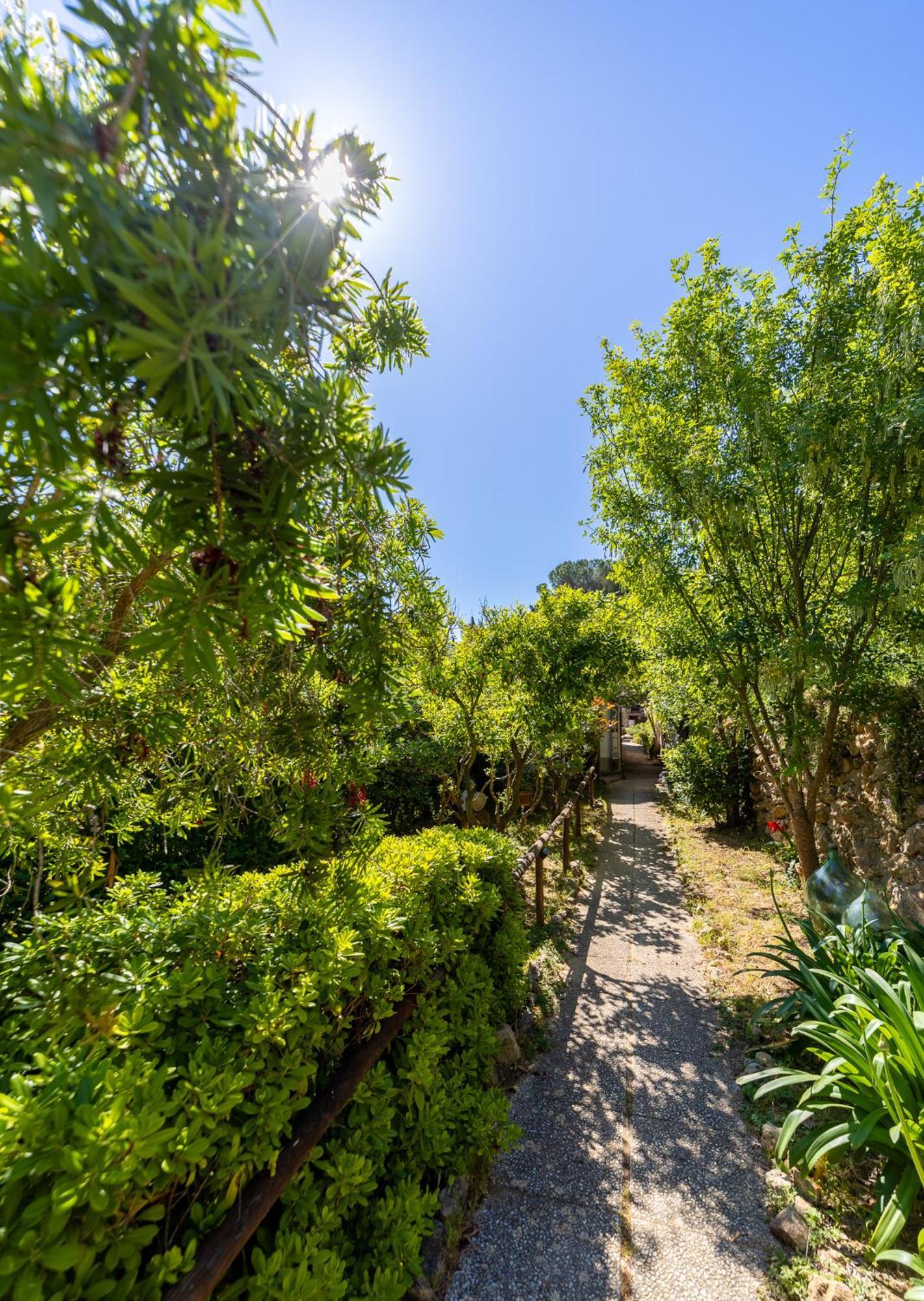 Cottage Pura Vigna Immerso Nella Natura Vicino Al Mare Porto Santo Stefano  Exteriér fotografie