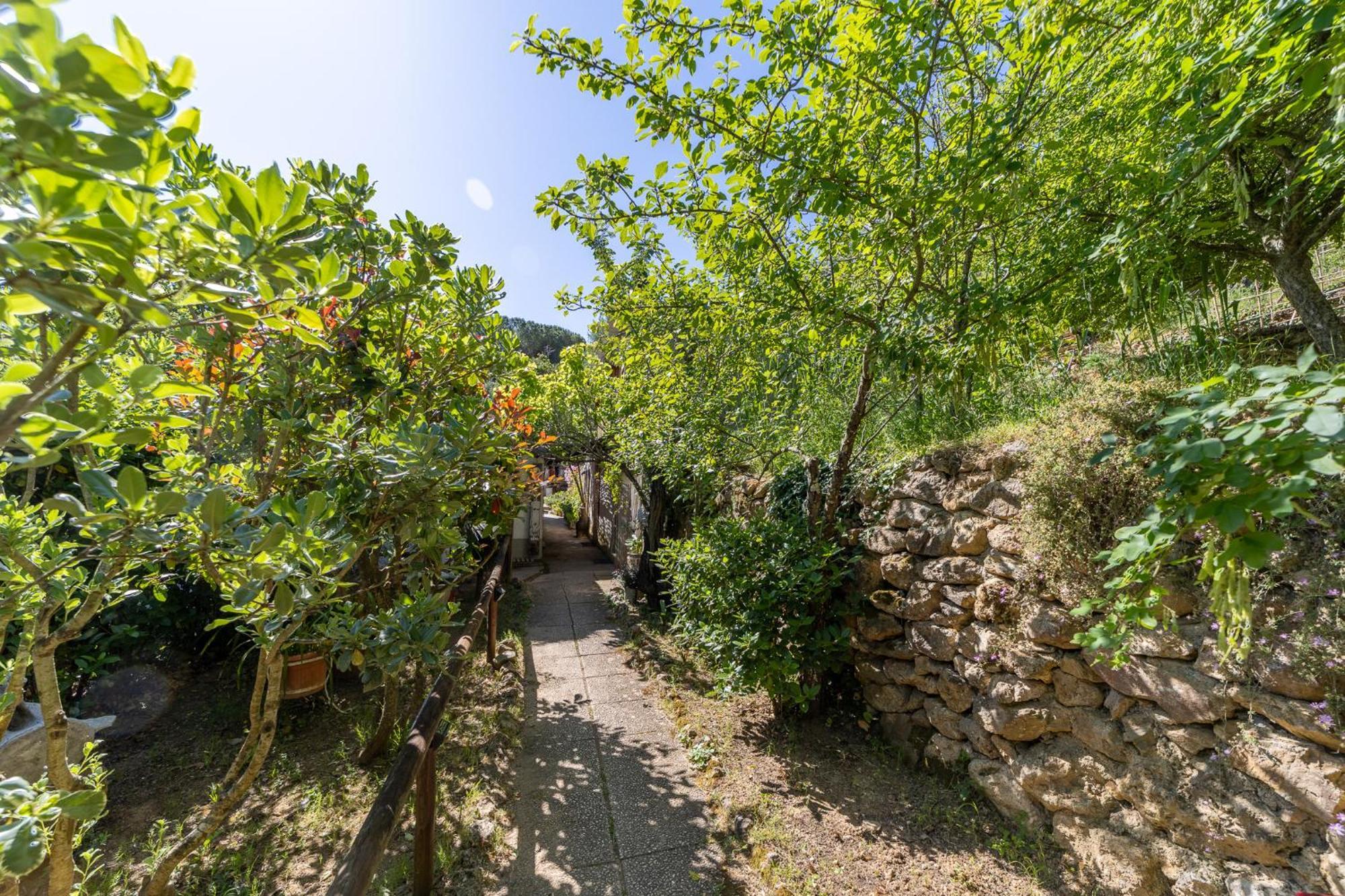 Cottage Pura Vigna Immerso Nella Natura Vicino Al Mare Porto Santo Stefano  Exteriér fotografie