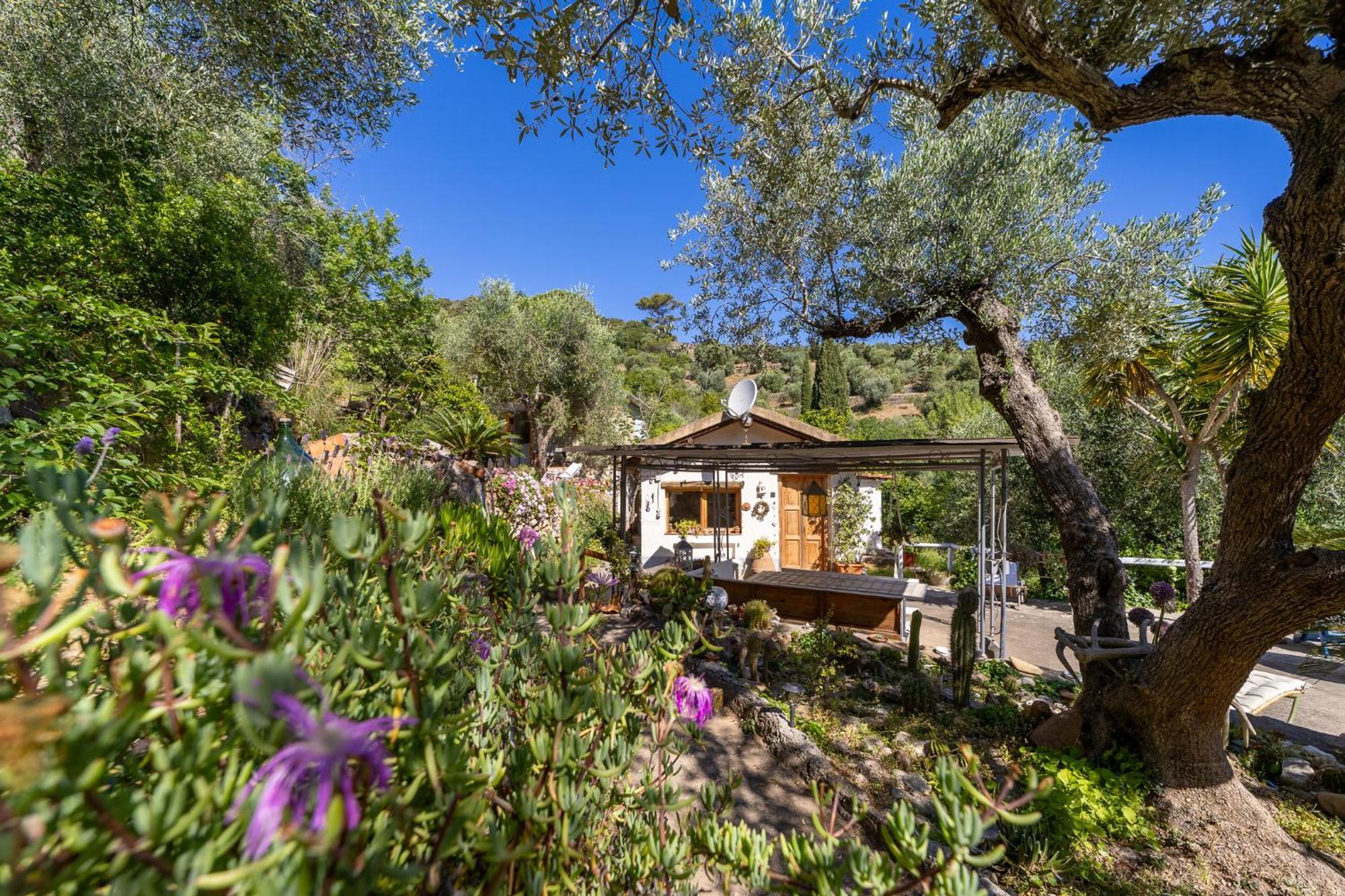 Cottage Pura Vigna Immerso Nella Natura Vicino Al Mare Porto Santo Stefano  Exteriér fotografie