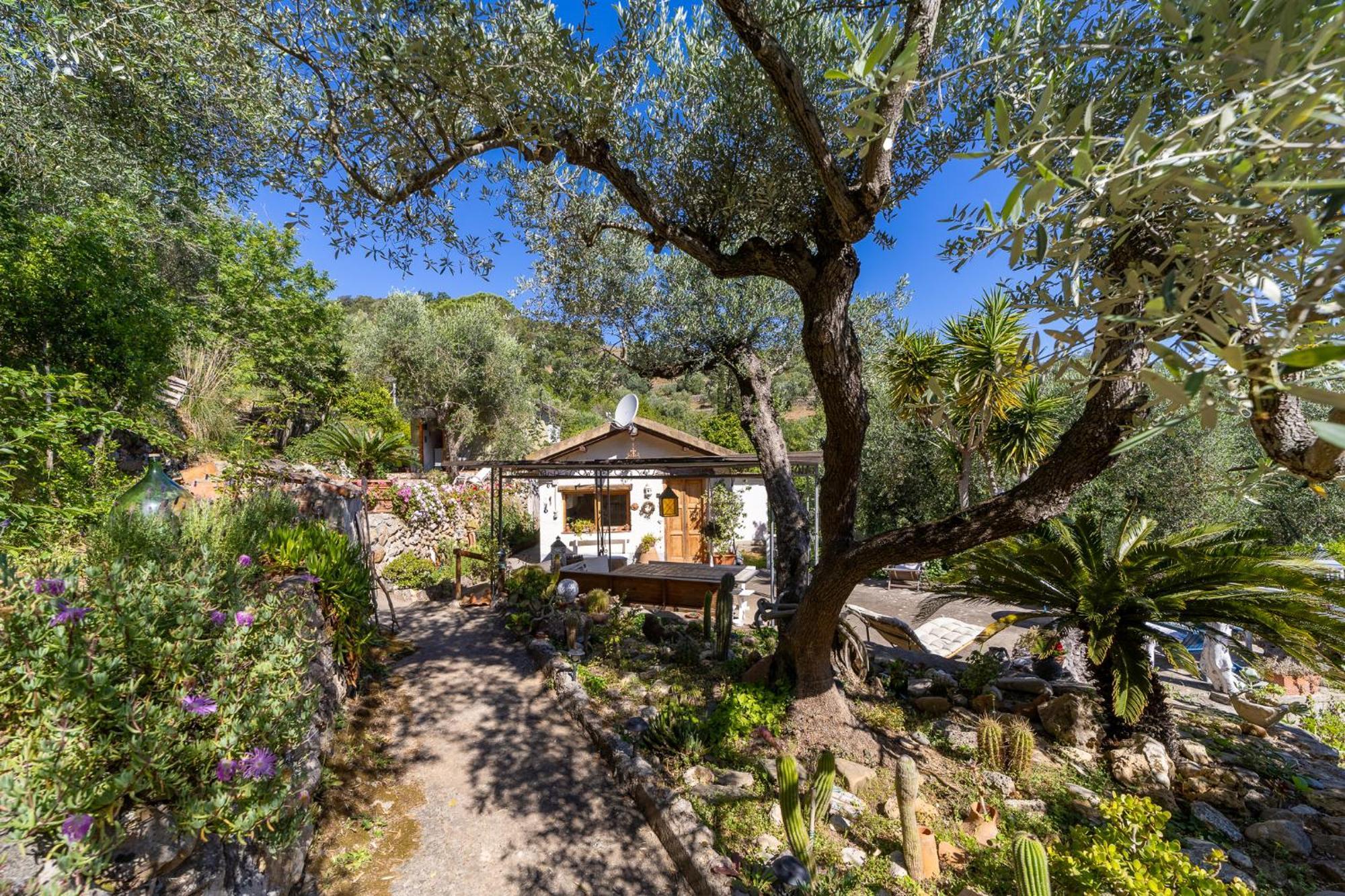 Cottage Pura Vigna Immerso Nella Natura Vicino Al Mare Porto Santo Stefano  Exteriér fotografie